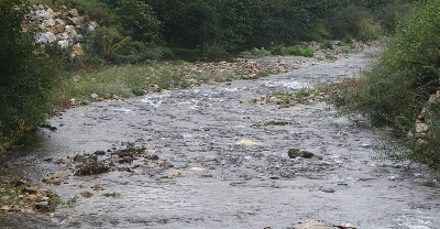 El Gobierno declara Reserva Natural Fluvial a cuatro tramos de ríos de León