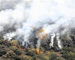 Foto de Sigue activo, sin controlar y en nivel 2 el fuego en Campo del Agua y Villar