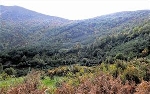 Foto de La Reserva de la Biosfera de los Ancares concluye el plan estrat�gico y de acci�n
