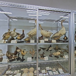 Reconocimiento al Museo de los Padres Paúles