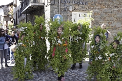 Foto de Os Maios de Villafranca del Bierzo se