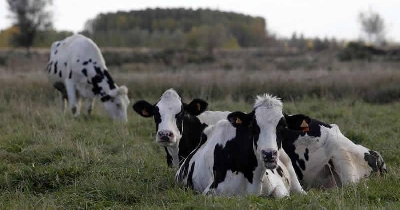 Foto de Rechazo al cierre de Unidades Veterinarias