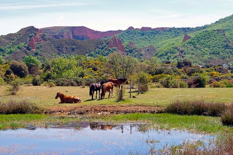 Foto de Villafranca del Bierzo acogerá un curso para descubrir el Patrimonio Natural del Bierzo