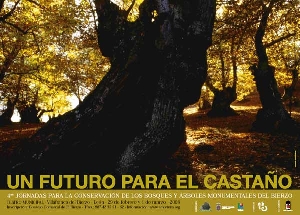 Foto de 4ª Jornadas para la consevación de los bosques y árboles monumentales