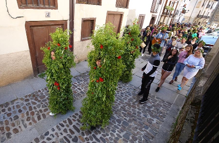 Foto de Villafranca saca os Maios para 