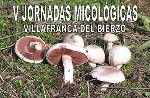 Foto de V Jornadas Micológicas en Villafranca del Bierzo.