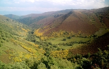 6º Campo de Trabajo Alzadas