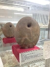 Foto de Horario del Museo de Ciencias Naturales